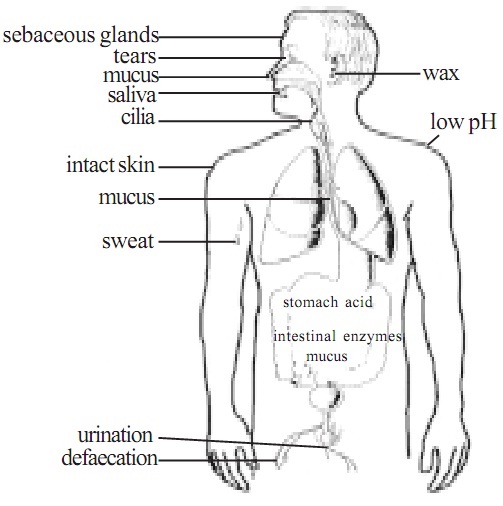 immunology homework help